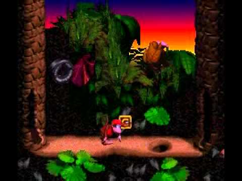 Donkey Kong Country