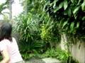 videos de Fil-Cara