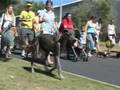 567 CapeTalk Wiggle Waggle 2007