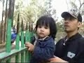 Nur Syafika Luthfi (FIKA)