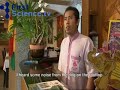 how did animals in thailand know the tsunami was coming?