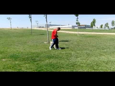 Educacion canina en positivo, enseñando a andar pegado.