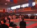 Generatia Cheles