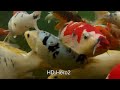 This is an in-depth video showing the visual differences between the GoPro Hero and Hero2. We compare video, stills and audio. For more information or to purchase go to www.eyeofmine.com or email us at info@eyeofmine.com 0:00: color charts 0:45: low light test 1:10: still images 2:10: Daytime video test 3:30: audio test 5:00: Angle of View 5:40: Frame Rate comparison