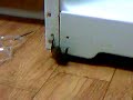 Video from My Phone (VIDEO_00003.mp4)