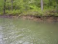 Musky bait