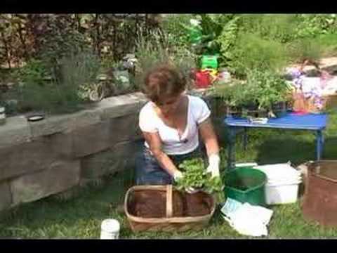 Container Gardening: Container Herb ...
