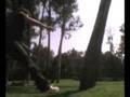 videos de Wallspin Tutorial