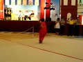 Wushu Exhibition
