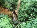 Srebrenica - ljekovita voda za sinuse Srebrenica - ljekovita voda za sinuse