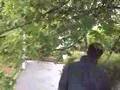 videos de Comment devenir utilisateur d'un chien guide d'aveugle? - 2