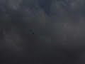Learjet 31 EDF