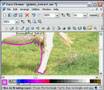 Xara Xtreme: Extracting Part of a Photo