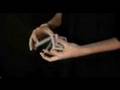 Short Flourish Video