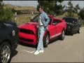 Shelby and Mustang Gathering