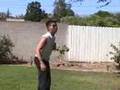 videos de The Art of Courage