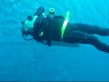 Scuba Diving - Baracuda + Gordon + YM Tam -Bohol Philippines Scuba Diving - Baracuda + Gordon + YM Tam -Bohol Philippines