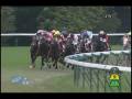 videos de [レースリプレイ] 081115 5東京3 11R 京王杯2歳ステークス