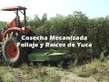 Cosecha Mecanizada: Follaje y Raíces de Yuca