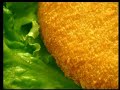 Medallon de pollo
