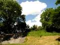 videos de Devon's Tree Top Adventure The Rock Centre Chudleigh Devon