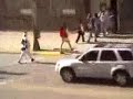 Broma paso de Cebra Infinito Broma paso de Cebra Infinito