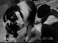 egypt-1933.html
