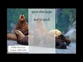 Canadian Seal Hunt - The Facts Canadian Seal Hunt - The Facts