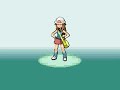 ポケモン改造　3rd