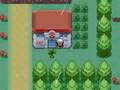 ポケモン改造 3rd