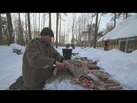 Хозяева тайги - Андрей Михеев