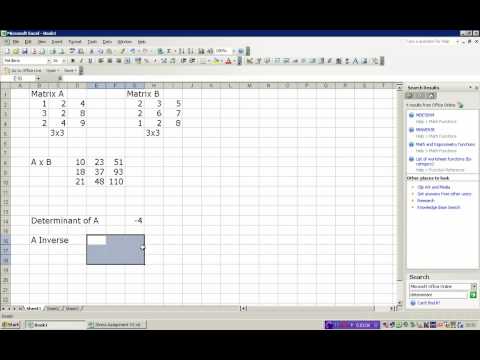 Excel-Funktion MINV
