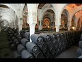 Vino de Jerez.wmv