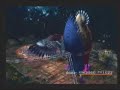 Final Fantasy X No Sphere Grid Dark Aeons - Dark Bahamut