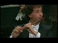 giuliano carmignola and mario brunello play brahms' double concerto!!renzetti, conductor. orchestra della toscana. second movement