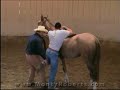 Monty Roberts and Rosie the Mustang