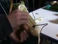 A day with the Vegetable Orchestra.