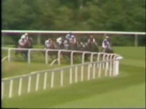 racing results cheltenham