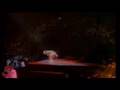 SUMMER NIGHTS VAN HALEN (Live Without a Net)
