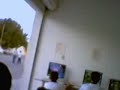 Re: Perreo Perreando Sandungueo2