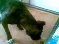 NORA Video034