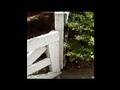 Before Fence Post Splint