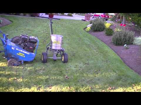 how to fertilize seed lawn