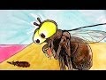 Tortures for Flies: Bath Time