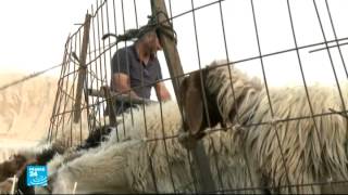 في عمق الحدث| صحراء النقب- قرية أم الحيران و مخاوف التهجير