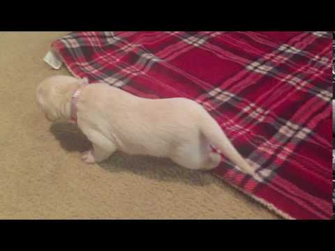 Shes Learning to Walk