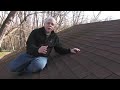 Roof Moss