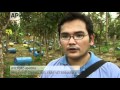 Philippines: Fighting Dogs Being Put Down