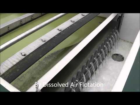 how to dissolve spirulina in water