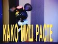 04 - Kako mis raste
